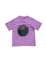 "spiteful world" tee